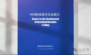 《中国职业教育发展报告》概览