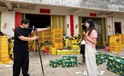 就业微观察丨一技在身，职教生就业有底气